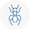 Ant Removals In St Levan