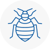 Bed Bug Extermination In St Levan