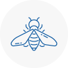 Bee Nest Removal St Levan