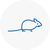 Mice Exterminators In St Levan