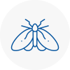 Moth Control Specialists In St Levan