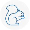 St Levan Rodent Removals